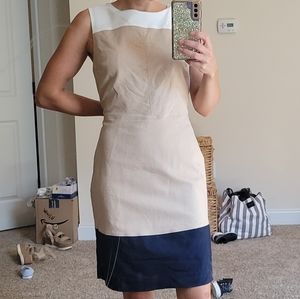 Sz4 The Limited Sheath Dress